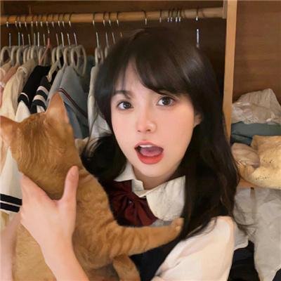 白夜侠